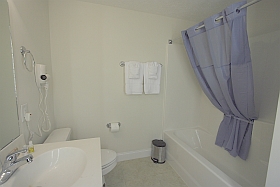Downstairs left Bathroom